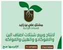 شتلة